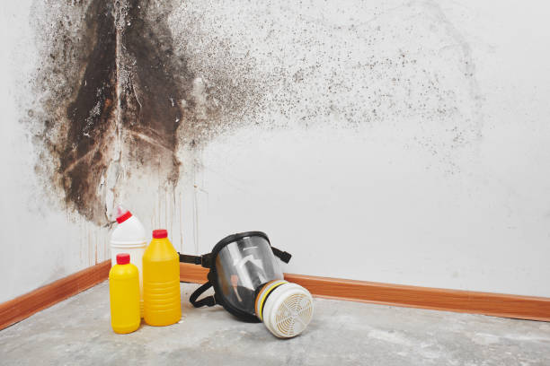 Best Home Mold Removal  in Danville, PA