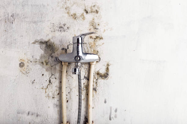 Best Mold Remediation  in Danville, PA