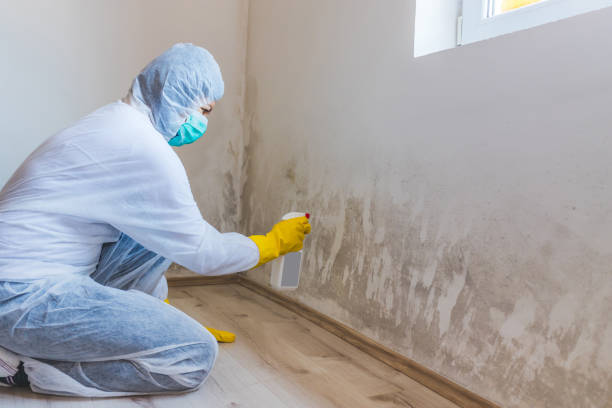 Crawl Space Mold Removal in Danville, PA