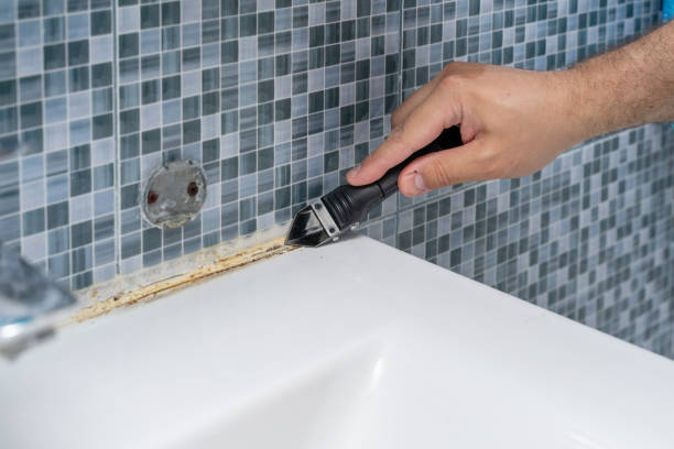 Best Mold Testing  in Danville, PA