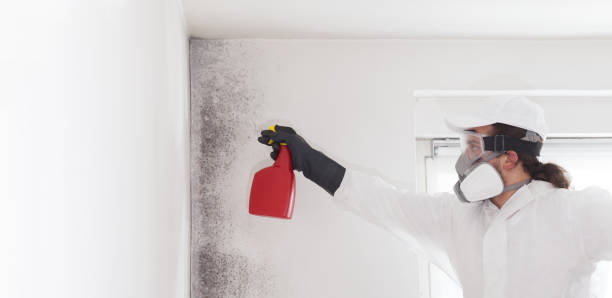 Best Mold Testing  in Danville, PA
